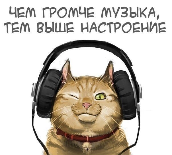 Magic the cookie - 24  2015  15:35