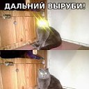 ���� �������, �����-��������� - ��������� 30 ���� 2015 � ������ ������ ��������