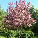 ���� ����, �����-���������, 57 ��� - ��������� 26 ������� 2015 � ������ ��������