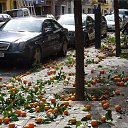 ���� ������, ������, 32 ���� - ��������� 9 ���� 2015 � ������ ������ ��������