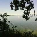 ���� �����, �������, 61 ��� - ��������� 4 ���� 2015 � ������ ������ ��������