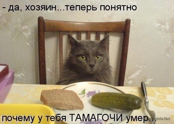    - 4  2015  03:17