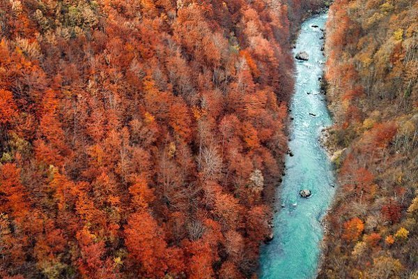 Каньон реки Тара, осенний север Черногории.#интересные_места@interestplanet_ru