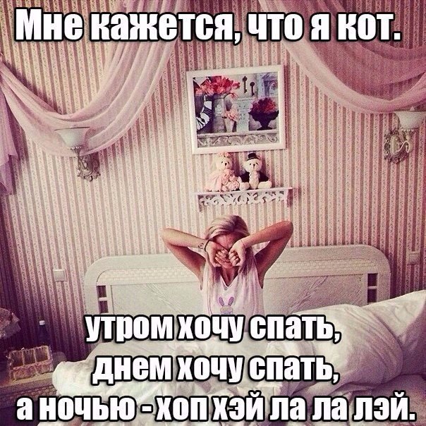   ,  ©  - 4  2015  08:07