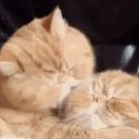 ���� ������, ������� - ��������� 18 ��� 2015 � ������ ������ ��������