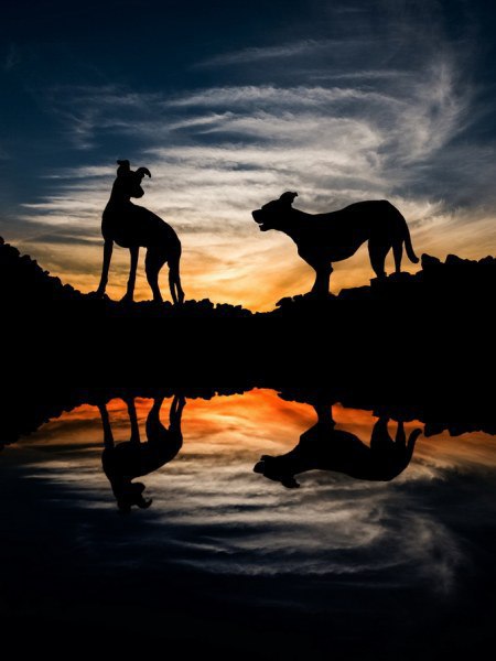 -   (Elke Vogelsang)        ... - 7