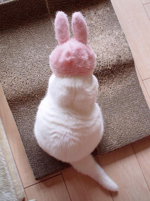   :3