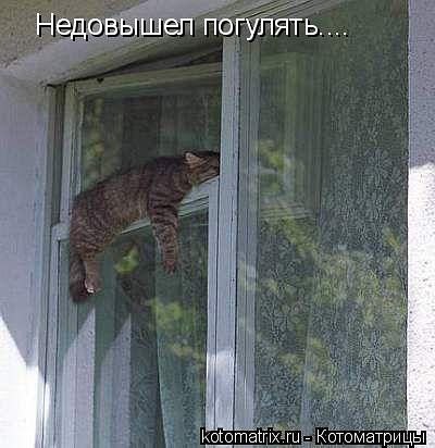 )))