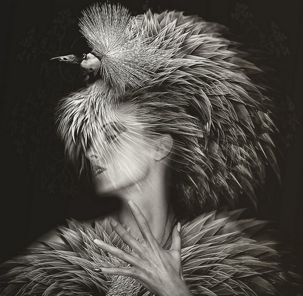  Lee Howell - 3