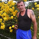 ���� ������, �����������, 51 ��� - ��������� 20 �������� 2015 � ������ ���� ����������