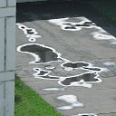 ���� �� ������� ������ ������