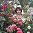 ���� Lubov, ������-��-���� - ��������� 29 ��� 2015