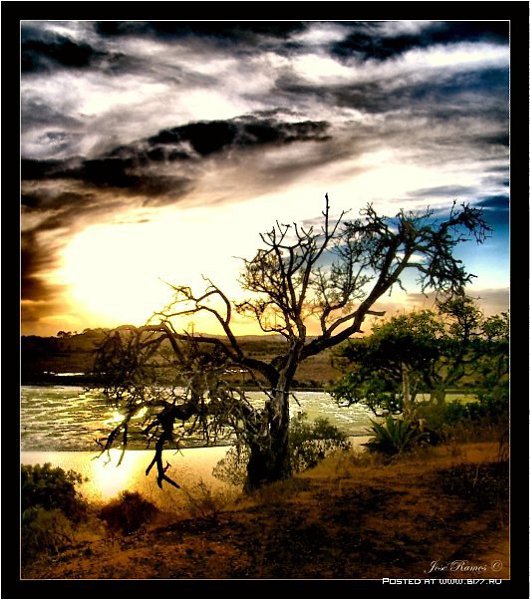 Jose Ramos - 12
