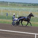  ((((Olenka)))),  -  22  2015    