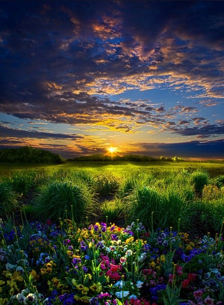  Phil Koch. - 5