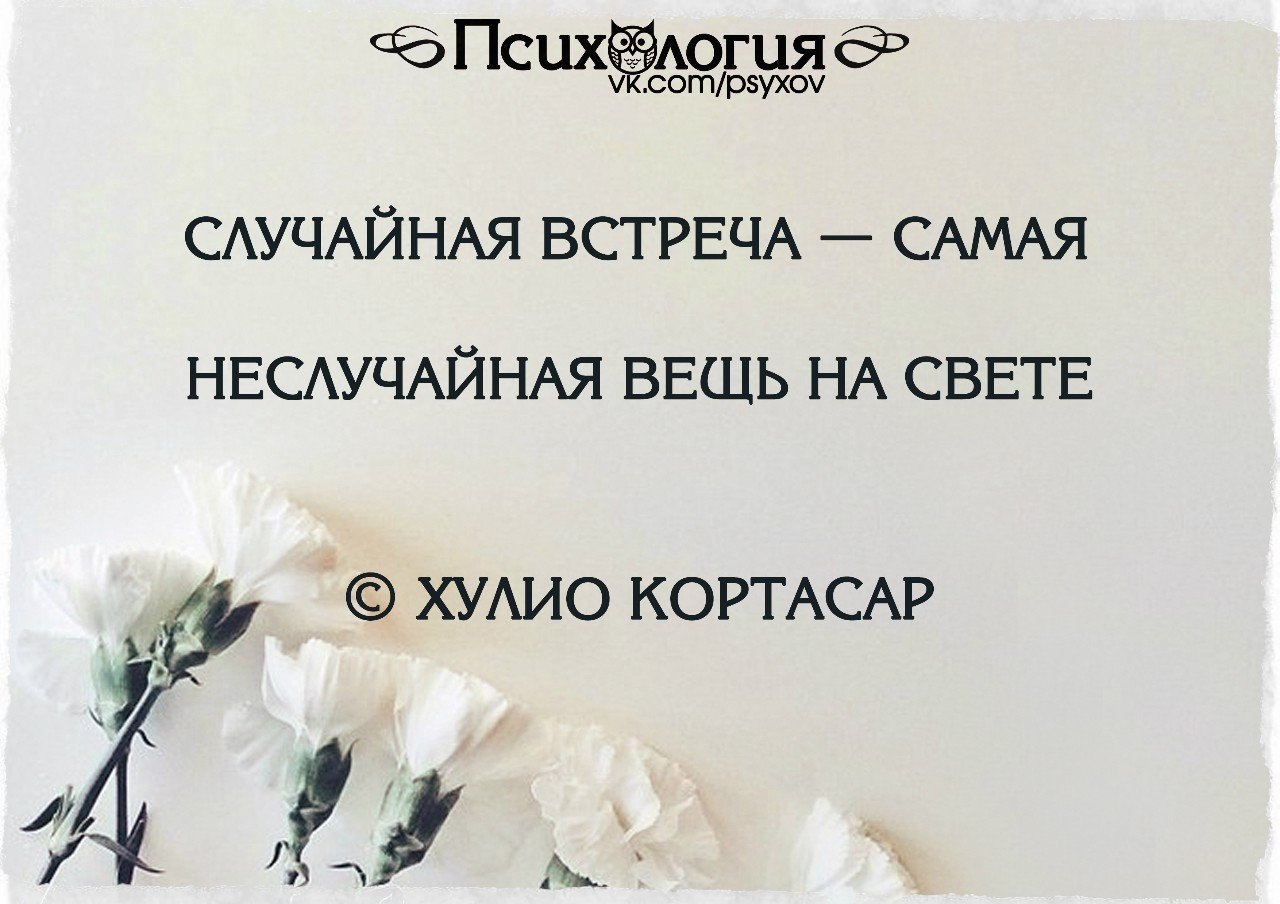 Когда человек твой цитаты. Живите своей жизнью цитаты. Высказывания о понимании. Цитаты если это твой человек-. Высказывания о понимании.