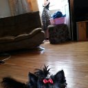  Tamuna,  -  4  2015   Mobile Uploads
