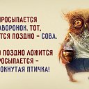  ,  -  18  2015    