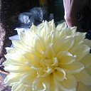 ���� ����� ))) ��������� ���� ������ ... ))), ���������, 63 ���� - ��������� 25 ������� 2015 � ������ ���� ����������