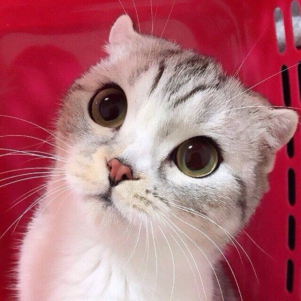   -    :3