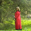 ���� �������, �����������, 50 ��� - ��������� 8 ��� 2015 � ������ ���� ����������