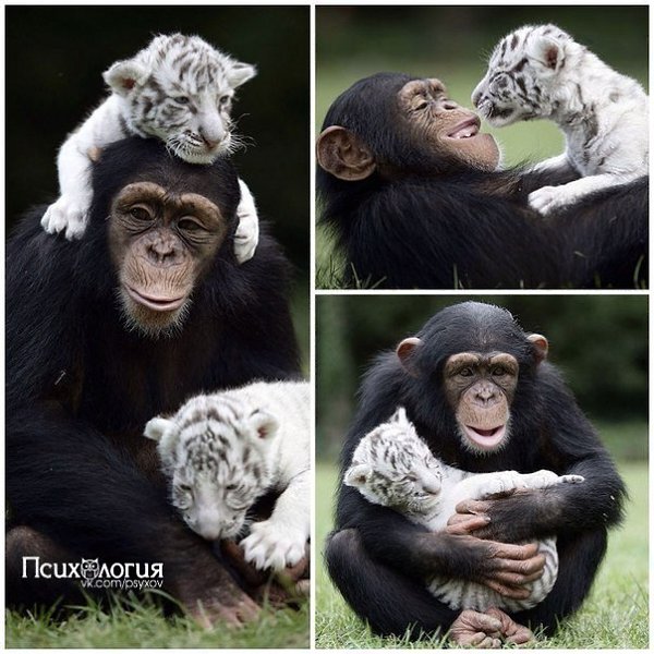 ��� �� ��� � ��������, �� � ��������. ��� ��� �������� ����. - 9