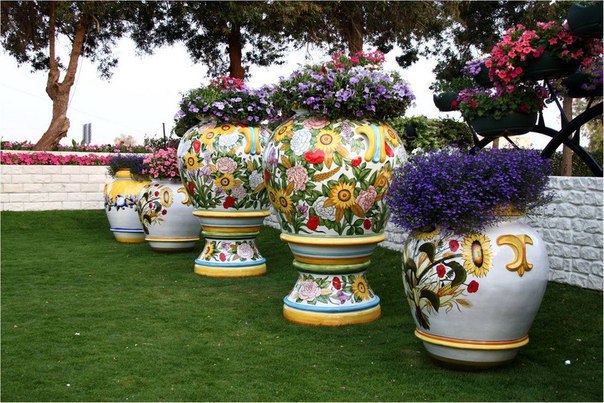 Dubai Miracle Garden -       - 9