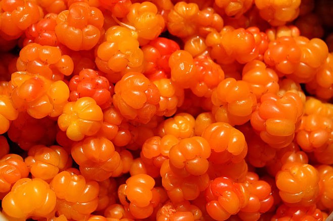  . .  ,  .   .   ... - 2