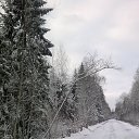 ���� 555gnom, �����-���������, 42 ���� - ��������� 8 �������� 2015 � ������ ���� ����������