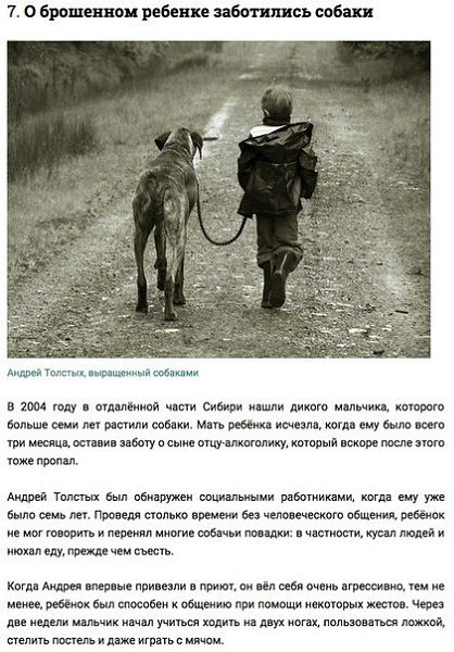 Дети, о которых заботились животные.Все мы знаем и помним захватывающие рассказы о Маугли и Тарзане, ... - 7