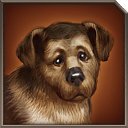 ���� �������, ������� ����, 45 ��� - ��������� 1 ���� 2015 � ������ ������ ��������