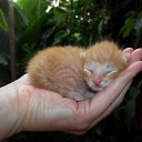 ���� ������, ��������, 53 ���� - ��������� 1 ��� 2015 � ������ ������ ��������