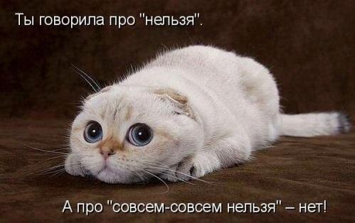    - 7  2015  01:16