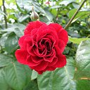  , , 60  -  25  2015     .&quot;&quot;23.05.15.