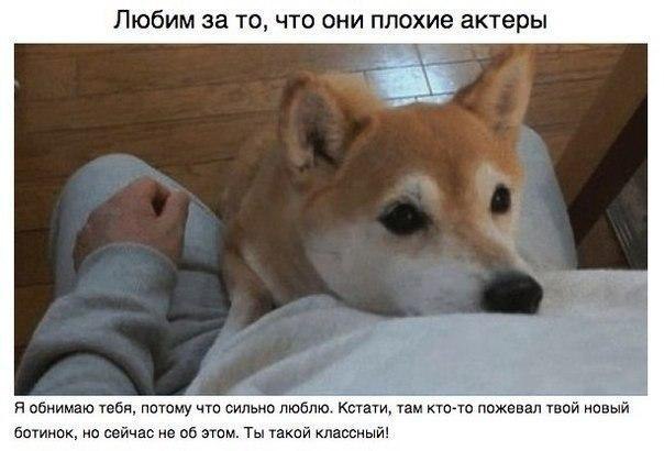    :-) - 6  2015  13:40 - 2