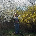  Alesa, , 38  -  2  2015    