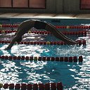 ���� �������, ��������, 34 ���� - ��������� 4 ���� 2015 � ������ ���� ����������