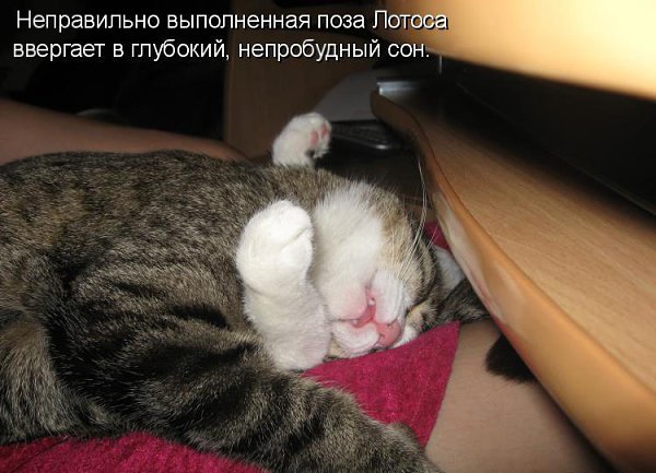 Неправильная поза во сне-причина хронической усталости.