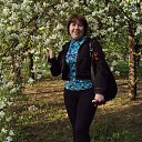 ���� ����, �������� - ��������� 11 ��� 2015 � ������ ���� ����������