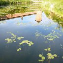 ���� �����, ����-������� - ��������� 30 ��� 2015 � ������ ���� ����������