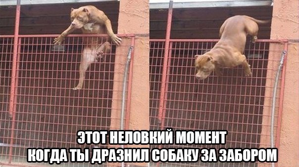    :D - 14  2015  11:40