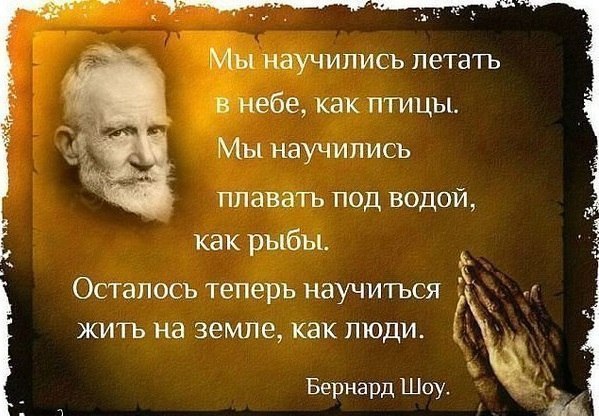 Что нынче модно, господа? Что нынче в моде? Сосудом быть прекрасным, в котором пустота? Везучей ...
