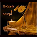 ���� ��������, ���������� - ��������� 5 ������� 2015 � ������ ������ ��������