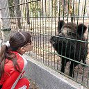 ���� �������, ������, 37 ��� - ��������� 18 �������� 2015 � ������ ���� ����������