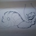 ���� �����, �����-���������, 38 ��� - ��������� 12 ��� 2015