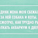 ���� ������, ������, 64 ���� - ��������� 14 ���� 2015 � ������ ������ ��������