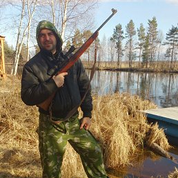 �������, �����-���������, 41 ���