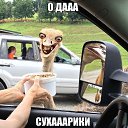 ���� ������, ������������ - ��������� 12 ������� 2015 � ������ ������ ��������