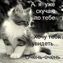 ���� ���, �������, 40 ��� - ��������� 31 ������� 2015 � ������ ������ ��������
