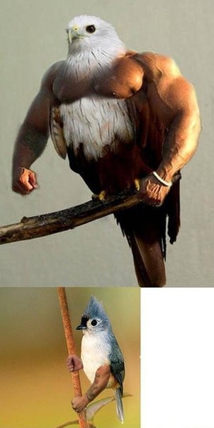  - 7